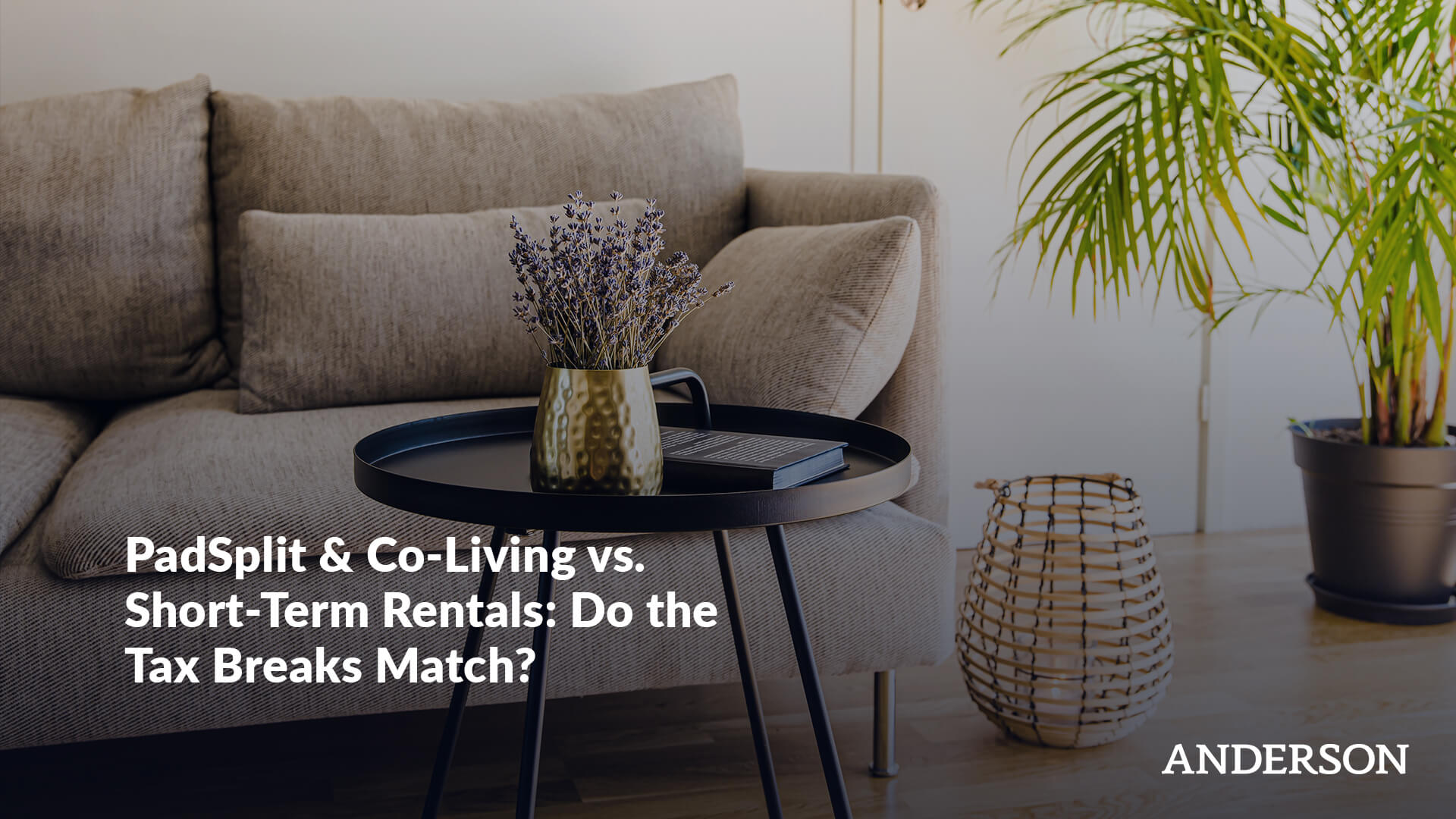 PadSplit & Co-Living vs. Short-Term Rentals Do the Tax Breaks Match