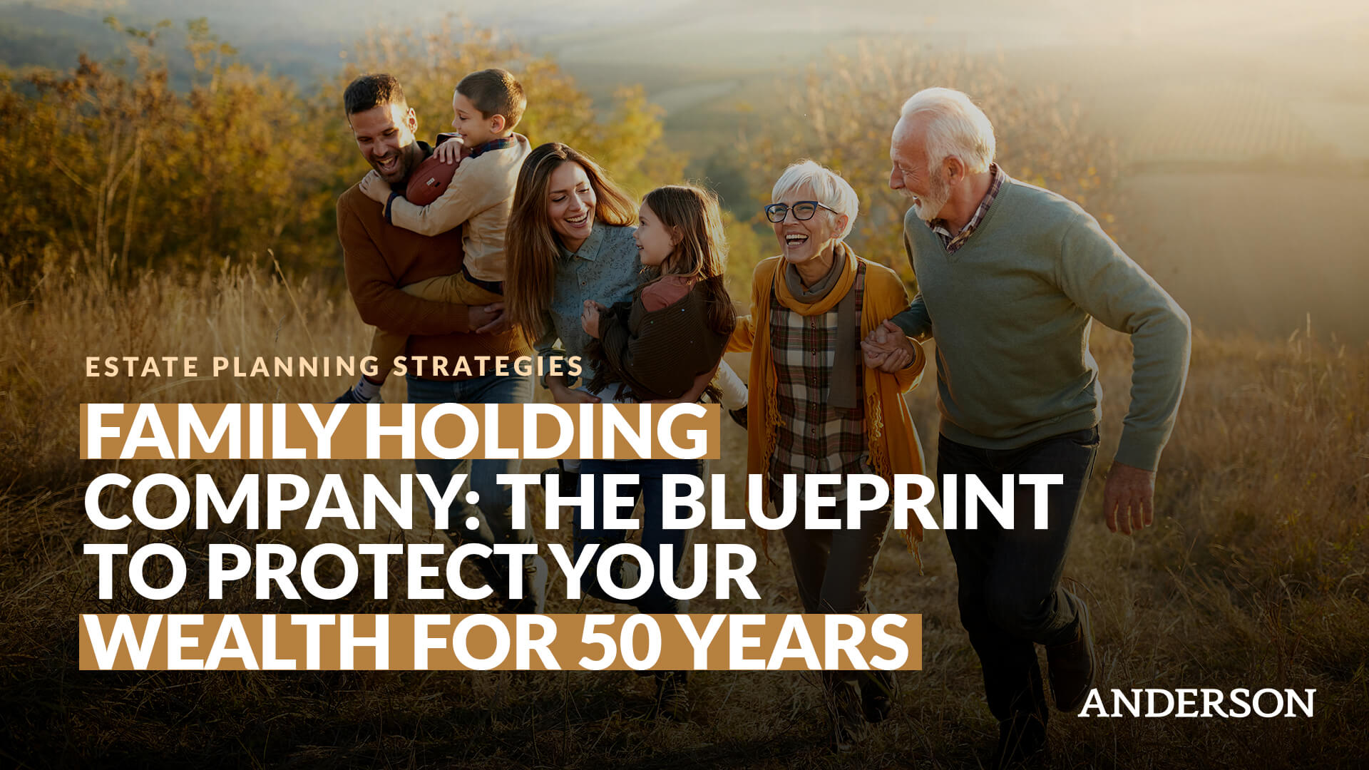 Family Holding Company The Blueprint to Protect Your Wealth for 50 Years