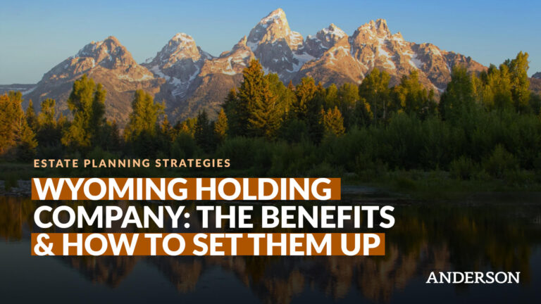 Wyoming Holding Company The Benefits & How To Set Them Up